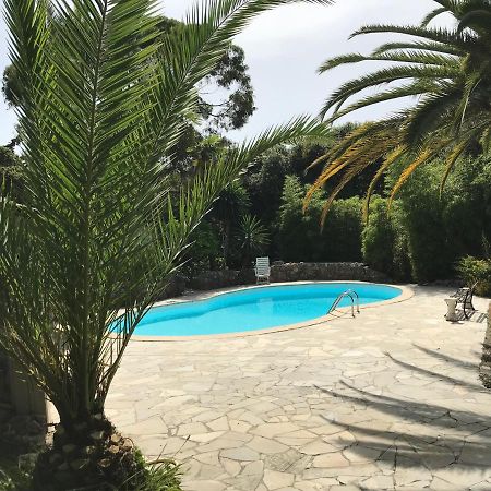 Independent One Bedroom Apartment Antibes Eksteriør billede
