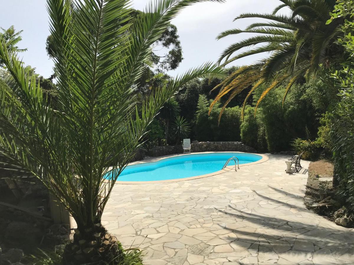 Independent One Bedroom Apartment Antibes Eksteriør billede